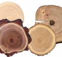 Породы древесины